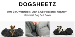 DogSheetz Are Finally Happening...Kind of!