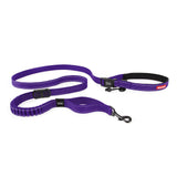 Running Bungee Dog Leash Hands Free by EzyDog - Really Good Pets Shop - Dog Leash - Purple - EzyDog - 11