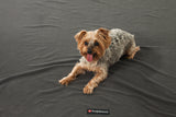 DogSheetz Waterproof Dog Blanket