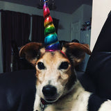 Unicorn Horn Headband for Dogs