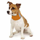 Insect Shield Dog Neck Gaiter Carrot - Really Good Pets Shop - Dog Outdoor -  - Pet Retail Supply - 3