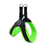 Mesh Neon Dog Harness - Really Good Pets Shop - Harness - 1 / Green - Tre Ponti - 4