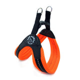 Mesh Neon Dog Harness - Really Good Pets Shop - Harness - 1 / Orange - Tre Ponti - 6
