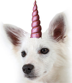 Unicorn Horn Headband for Dogs