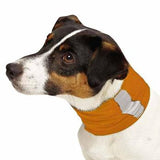 Insect Shield Dog Neck Gaiter Carrot - Really Good Pets Shop - Dog Outdoor -  - Pet Retail Supply - 1