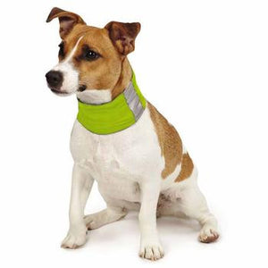 Insect Shield Dog Neck Gaiter Green - Really Good Pets Shop - Dog Outdoor -  - Pet Retail Supply - 1
