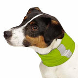 Insect Shield Dog Neck Gaiter Green - Really Good Pets Shop - Dog Outdoor -  - Pet Retail Supply - 2