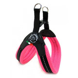 Mesh Neon Dog Harness - Really Good Pets Shop - Harness - 1 / Pink - Tre Ponti - 5